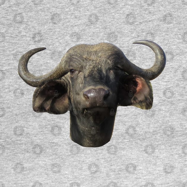 Water Buffalo Ox Portrait by ellenhenryart